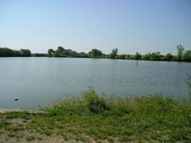 Žižkovský rybník